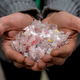 Plastic nurdles.